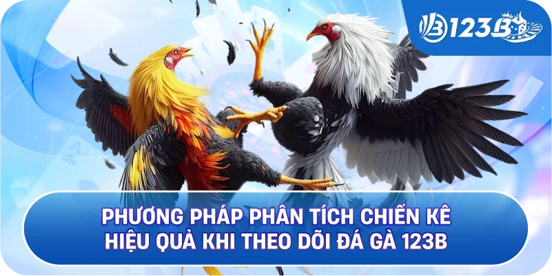 Phương pháp phân tích chiến kê hiệu quả khi theo dõi Đá Gà 123B