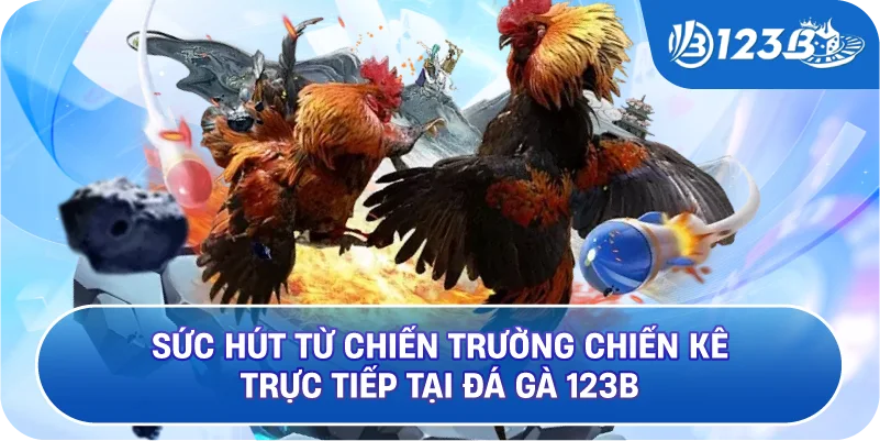 Sức hút từ chiến trường chiến kê trực tiếp tại Đá Gà 123B