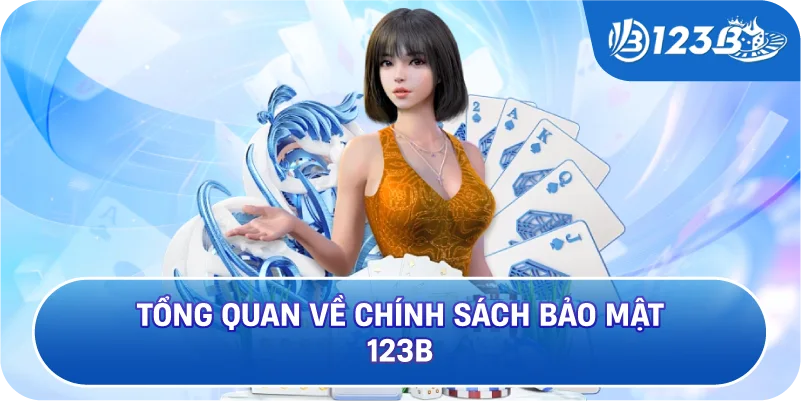 Tổng Quan Về Chính Sách Bảo Mật 123B