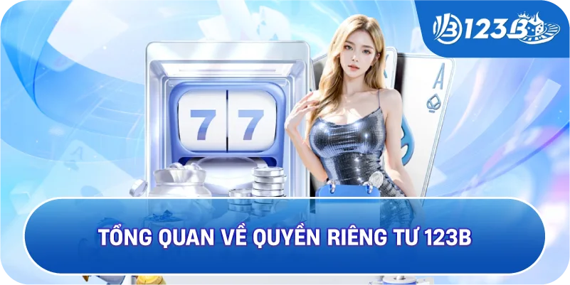 Tổng Quan Về Quyền Riêng Tư 123B
